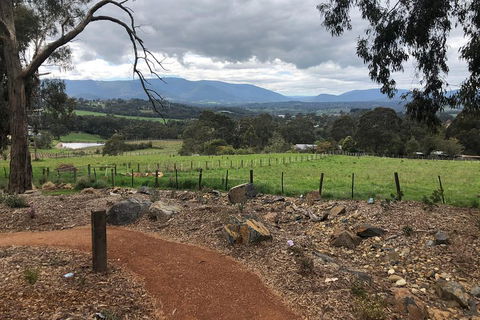 Yarra Valley Wine Tour Inc Lunch With A Glass Of Wine, Tastings And Chocolate - VIC Tourism 0