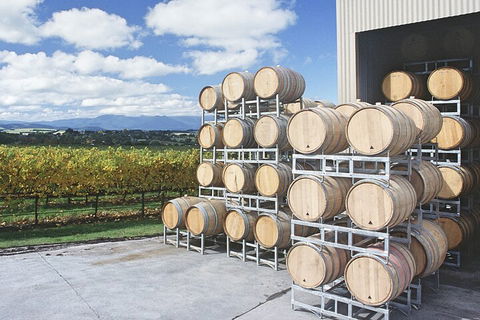 Yarra Valley Wine Tour Inc Lunch With A Glass Of Wine, Tastings And Chocolate - VIC Tourism 4