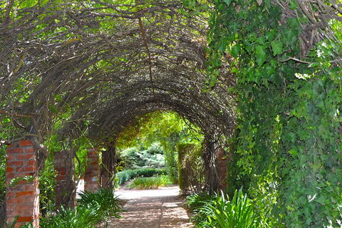 Barossa Valley Cellar Doors Luxury Wine Tour - VIC Tourism 3