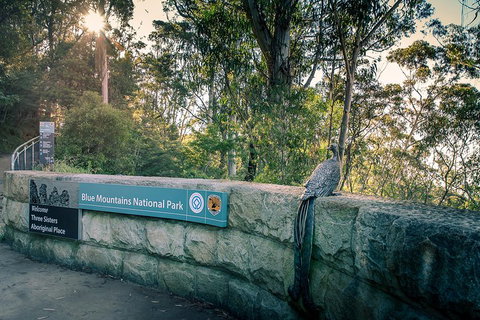 Ultimate Blue Mountains Waterfalls, Walks & Sunset PRIVATE Tour - VIC Tourism 3