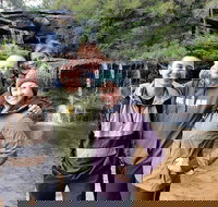 Blue Mountains Small Group Tour Enjoy a Sleep In Waterfalls Sunset  Dinner - VIC Tourism