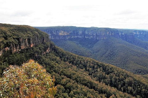 Blue Mountains - VIC Tourism 3