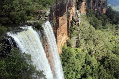Private Grand Pacific Drive And Southern Highlands Tour - VIC Tourism 1