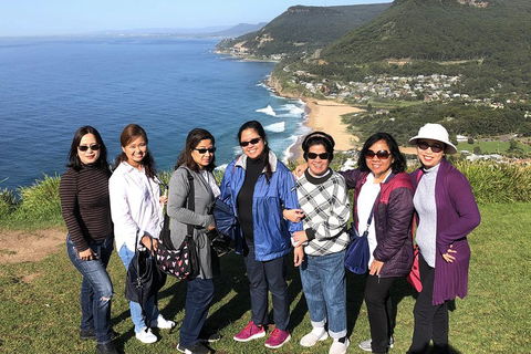 Private Grand Pacific Drive And Southern Highlands Tour - VIC Tourism 3