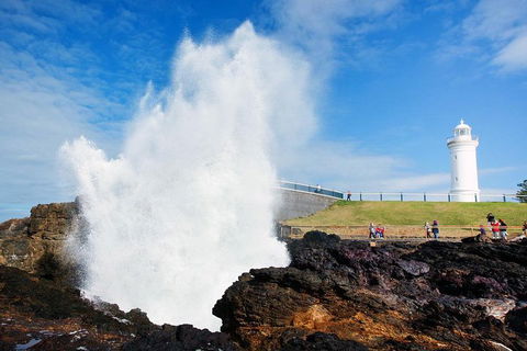 Private Grand Pacific Drive And Southern Highlands Tour - VIC Tourism 4
