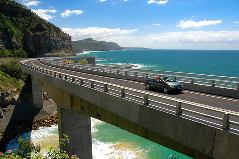 Private Grand Pacific Drive And Southern Highlands Tour - VIC Tourism 5