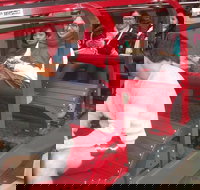 Full-Day Private Blue Mountains Tour with River Cruise - VIC Tourism