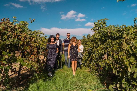 Barossa Valley Private Tour (from 2 To 11 People) - VIC Tourism 0