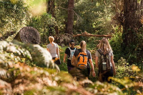 Cabaret Cave Yoga & Mindful Hike - VIC Tourism 2