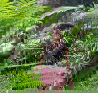 Full-Day Guided Hinterland Adventure Tour in Queensland - VIC Tourism