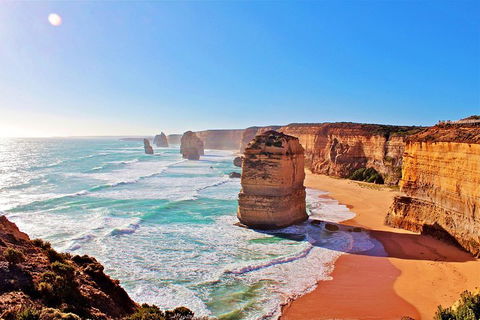 LGBT+ Friendly 12-Hour Great Ocean Road Private Tour - VIC Tourism 3