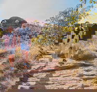 Kings Canyon Day Trip from Ayers Rock Uluru - VIC Tourism