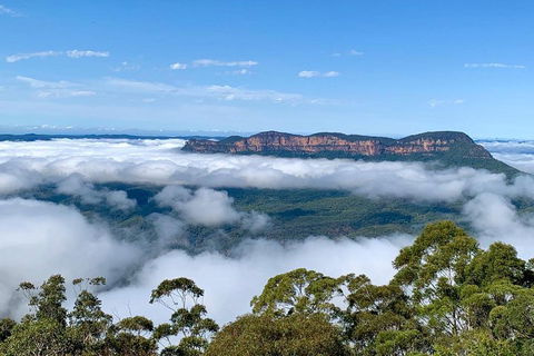 Small-Group Blue Mountains Tour With A Local Guide - VIC Tourism 4