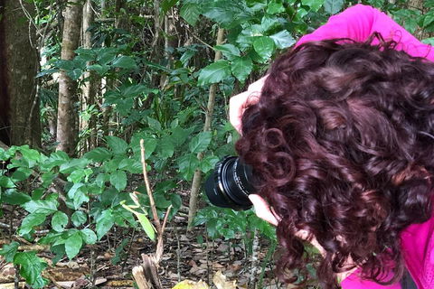 Let's Go Buggin & Let's Go Shroomin - Photography & Nature Walking Tours - VIC Tourism 1