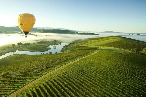 Half-Day Or Full-Day Tour With Private Guide From Melbourne - VIC Tourism 4