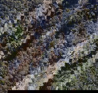 Leven Canyon Day Trip Including Wings Wildlife Park or Gunns Plains Caves - VIC Tourism