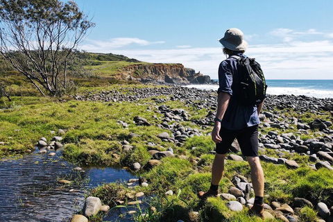 Half Day Guided Small Group Walk - VIC Tourism 0