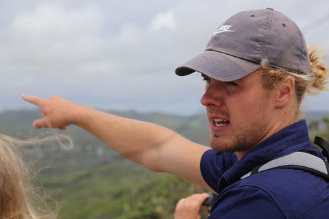 Half Day Guided Small Group Walk - VIC Tourism 1