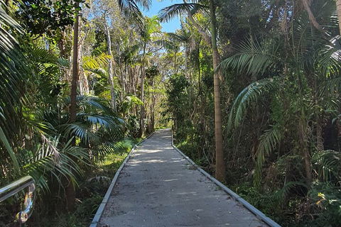 Half Day Guided Small Group Walk - VIC Tourism 3