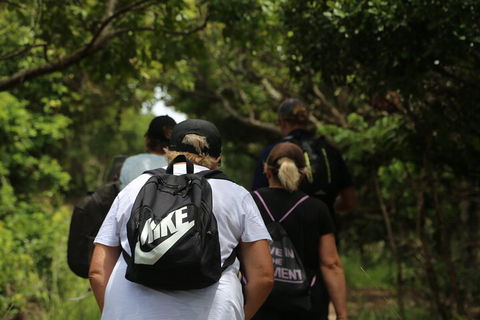 Half Day Guided Small Group Walk - VIC Tourism 4