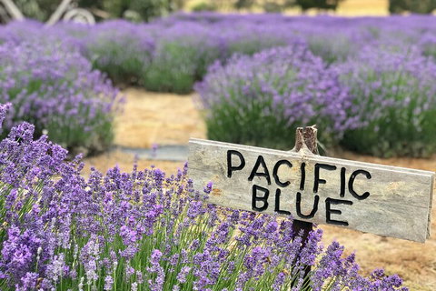 Kangaroo Island Half Day Food And Wine Trail Tour - VIC Tourism 5