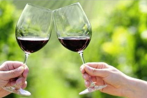 Yarra Valley Premium Tour Inc Lunch And Cheese And Wine Pairing At De Bortoli - VIC Tourism 5