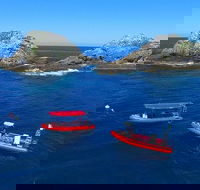 3-Hour Byron Bay Certified Scuba Diving Tour