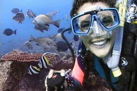 3-Hour Byron Bay Certified Scuba Diving Tour - VIC Tourism 5