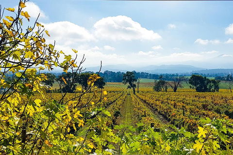 Yarra Valley Wine & Food Tour Departing From Melbourne - VIC Tourism 4