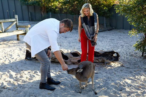 Albany's Whale Story - VIC Tourism 1