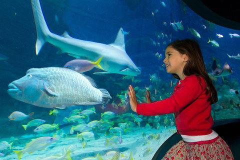 SEA LIFE Melbourne Aquarium Admission Ticket - VIC Tourism 1