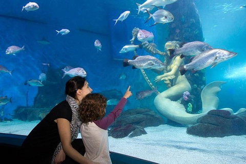 SEA LIFE Melbourne Aquarium Admission Ticket - VIC Tourism 4
