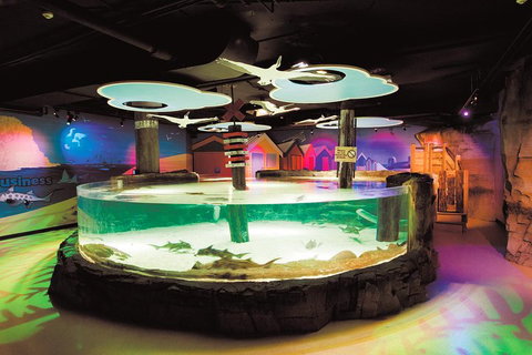 SEA LIFE Melbourne Aquarium Admission Ticket - VIC Tourism 5
