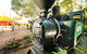 The Ginger Factory Play, Taste & Discover Bundle Admission Ticket - thumb 1
