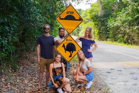 Cape Tribulation, Daintree Rainforest And Wildlife Tour - VIC Tourism 0