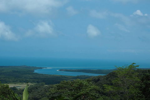Cape Tribulation, Daintree Rainforest And Wildlife Tour - VIC Tourism 1