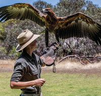One Day Kangaroo Island Sip  See tour with return ferry transfers from Adelaide - VIC Tourism