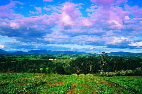 CHEVY CONVERTIBLE Package For 4 -Wine Lunch Cheese & Chocolate From Yarra Valley - VIC Tourism 4