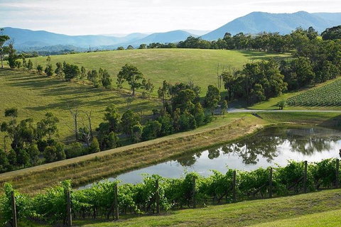 Yarra Valley Wine And Cider Tours By Classic Convertibles From Melbourne - VIC Tourism 1