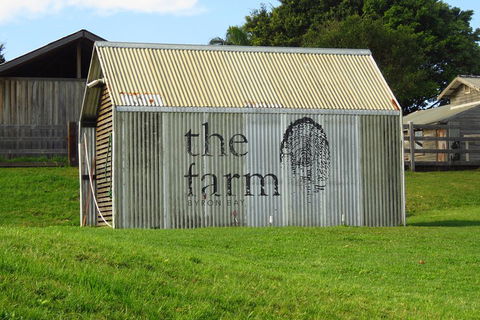 3-Hour Small-Group Byron Bay Tour - VIC Tourism 3