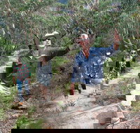 Small-Group Blue Mountains Tour with Bush Walks and Featherdale Wildlife Park - VIC Tourism