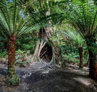 Adelaide to Melbourne 3-Day Trip through Grampians and Great Ocean Road - VIC Tourism