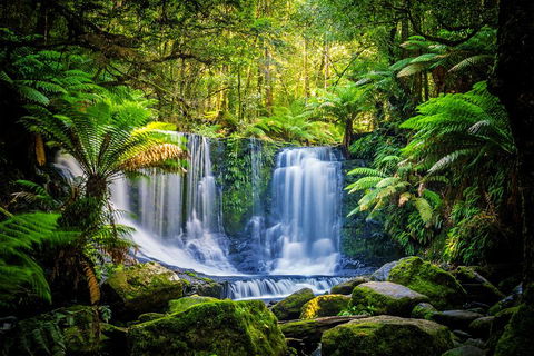 Day Tour In Mt. Field, Mt. Wellington, Bonorong Wildlife Sanctuary And Richmond - VIC Tourism 0