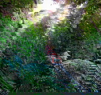 Private Blue Mountains Tour - VIC Tourism