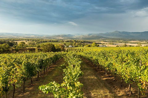 Yarra Valley Local Produce And Wine Tasting Tour - VIC Tourism 3