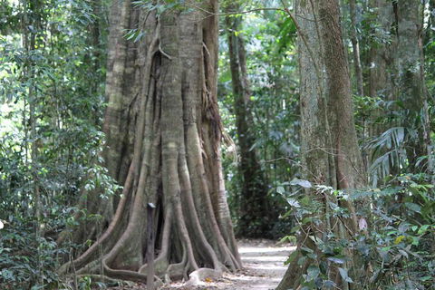 Noosa And Sunshine Coast Hinterland Day Trip From Brisbane - VIC Tourism 3