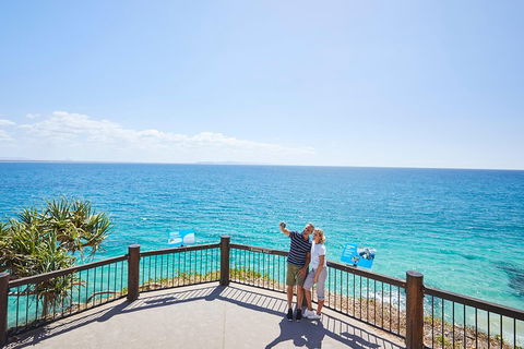 Noosa Everglades Serenity Cruise & Highlights Tour Inc. Lunch & Cruise - VIC Tourism 3