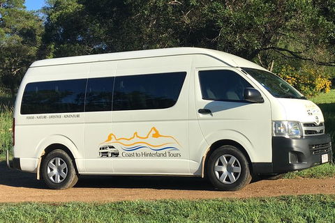 Noosa Everglades Serenity Cruise & Highlights Tour Inc. Lunch & Cruise - VIC Tourism 5