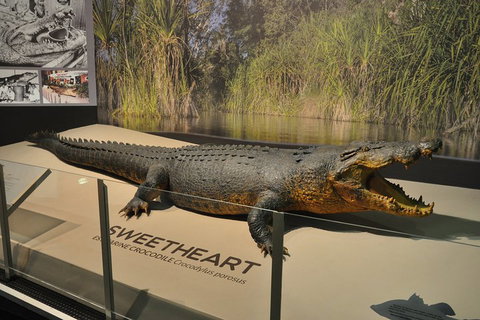 Explore Darwin City Sights Including Key Attractions - VIC Tourism 2