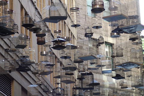 Sydney Scavenger Hunt: Inside Sydney - VIC Tourism 0